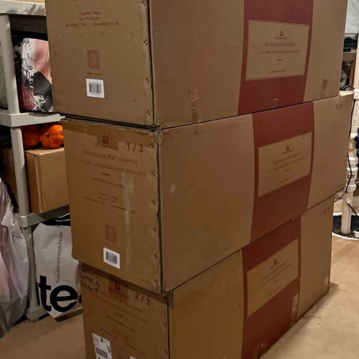 IMG_6542.jpeg IMG_6542.jpeg