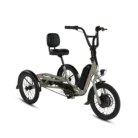 RadTrike_angle1_1.webp