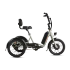 RadTrike_rightside1_1.webp