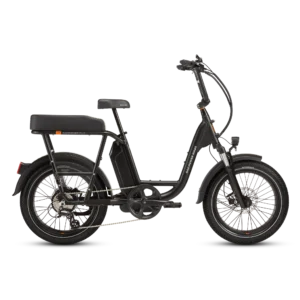 RadRunner™ Plus Electric Cargo Utility Bike